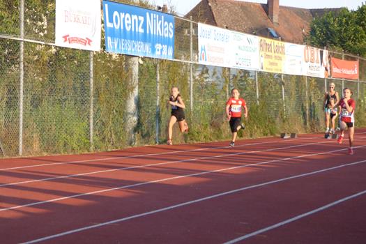 Dana Sprint Copy