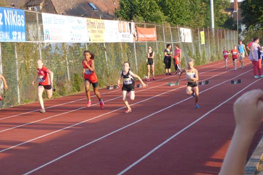 Johanna Sprint Copy
