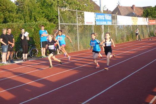 Lena Sprint Copy